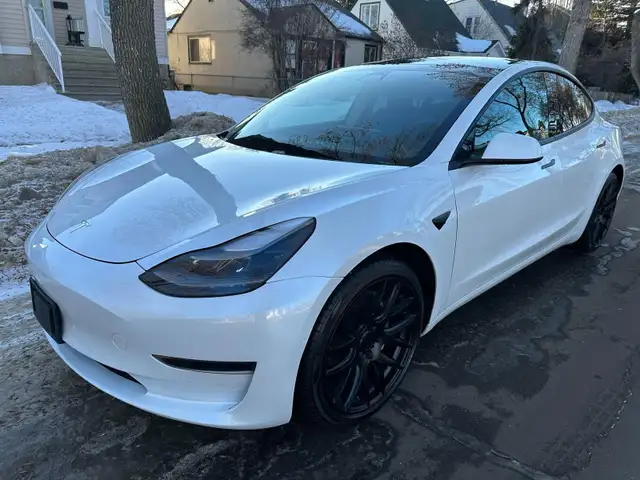 2021 Tesla Model 3 For Sale.