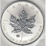 1 oz silver MAPLE LEAF 2009 $5 Privy BRANDENBURG GATE BERLIN