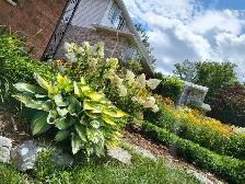 Private Gardener and Groundskeeper