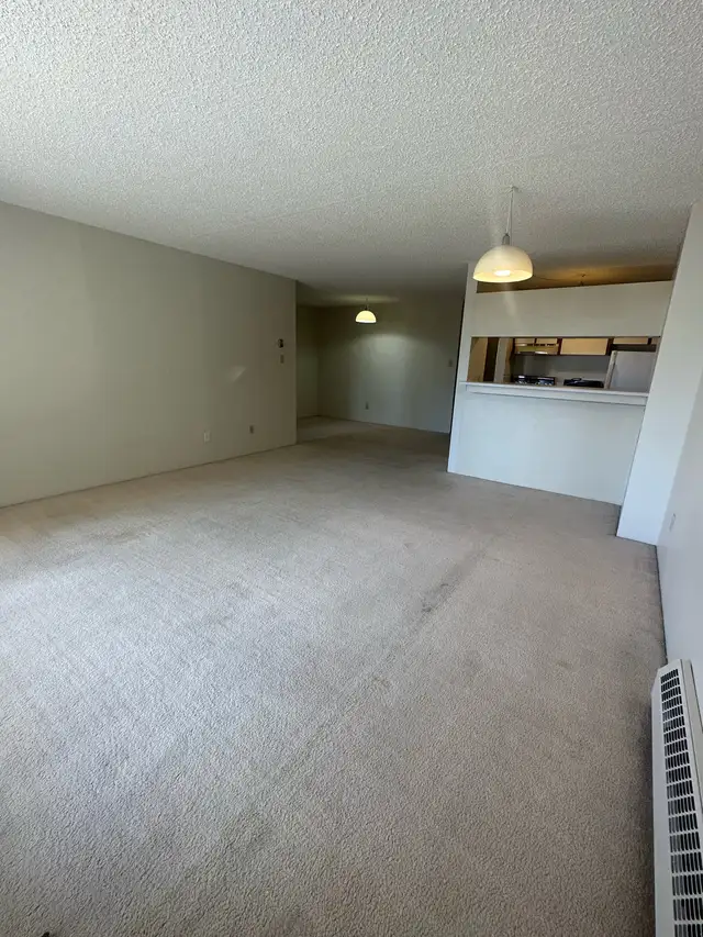 Downtown Calgary Condo - Photo 3
