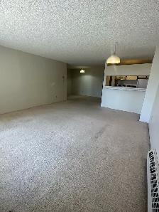 Downtown Calgary Condo - Photo 3