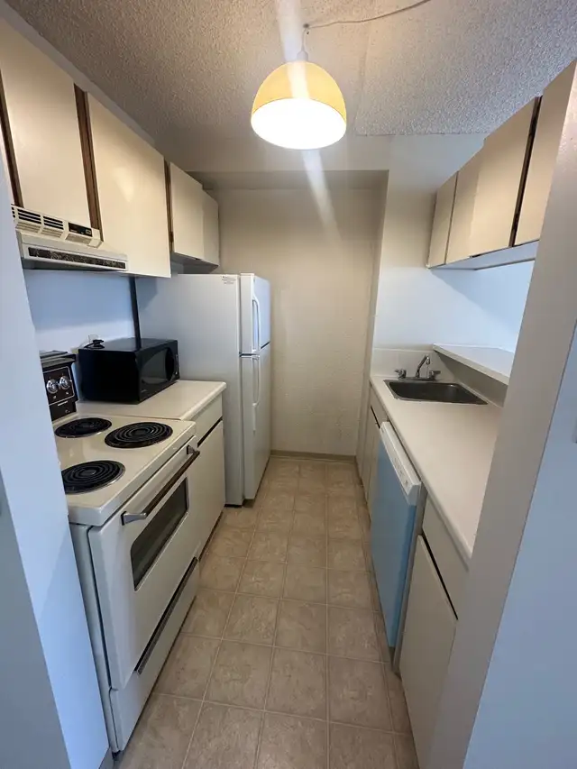 Downtown Calgary Condo - Photo 6