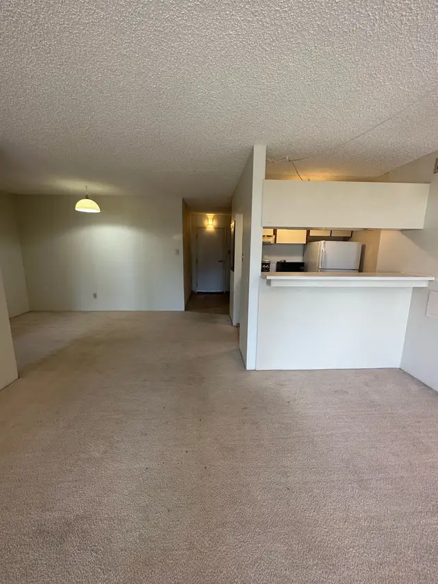 Downtown Calgary Condo - Photo 8