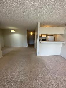Downtown Calgary Condo - Photo 8