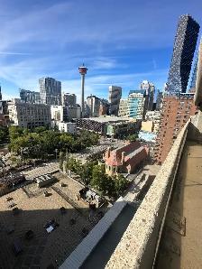 Downtown Calgary Condo - Photo 10