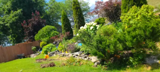 Private Gardener and Groundskeeper - Photo 4