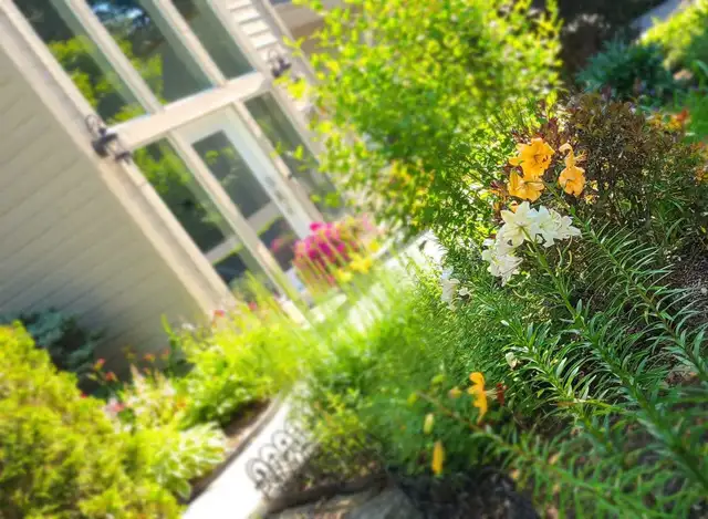 Private Gardener and Groundskeeper - Photo 8