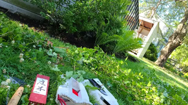 Private Gardener and Groundskeeper - Photo 9