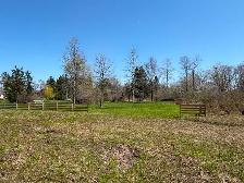 1.1 Acre Lot Niagara Parkway NO HST - Photo 3