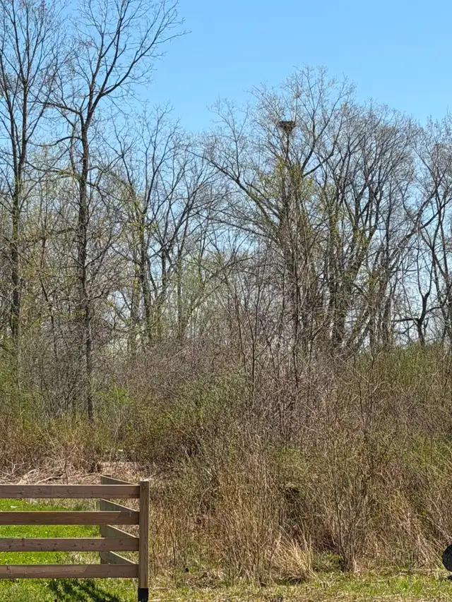 1.1 Acre Lot Niagara Parkway NO HST - Photo 5