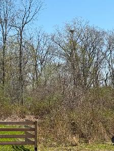 1.1 Acre Lot Niagara Parkway NO HST - Photo 6
