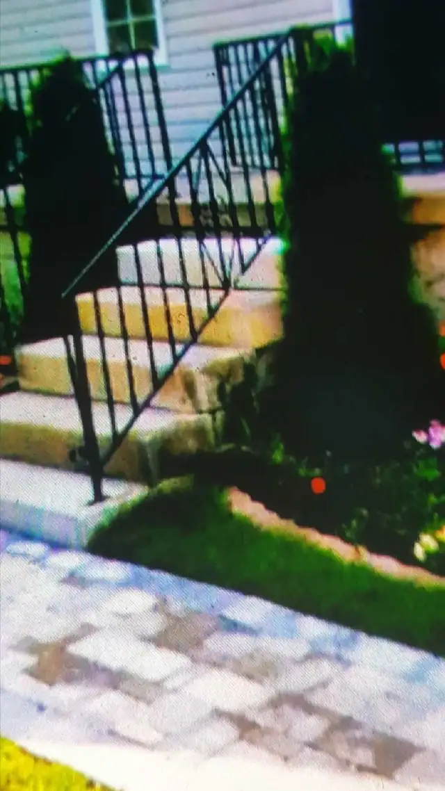 West Hamilton Room for Rent - Photo 2