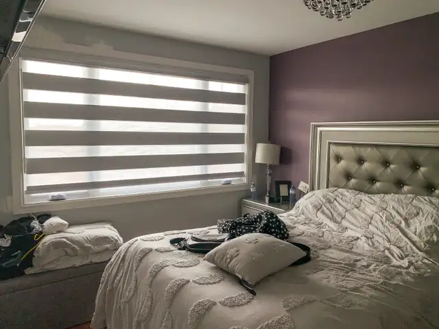 Zebra Blinds, Roller, Motorized, 50% OFF Call 416-4143443 - Photo 3