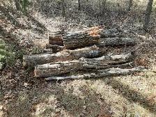Free Firewood