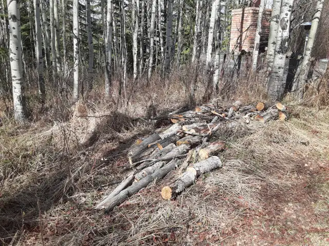 Free Firewood - Photo 9