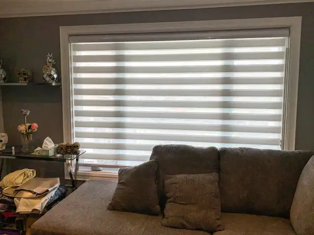 Zebra Blinds, Roller, Motorized, 50% OFF Call 416-4143443 - Photo 5