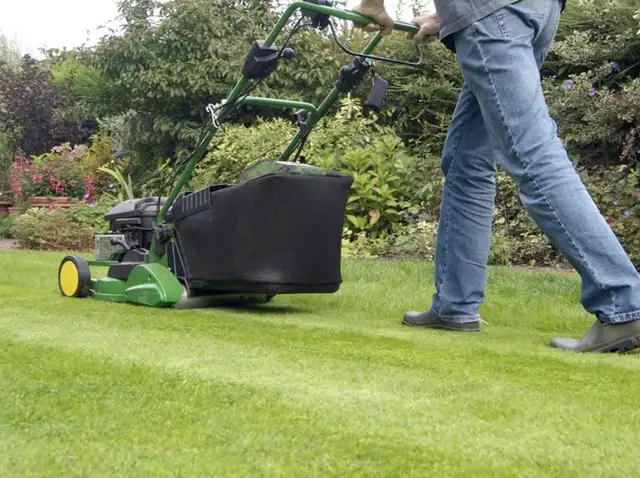 Lawn Maintenance