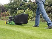 Lawn Maintenance