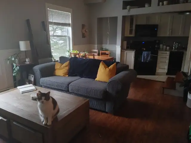 2 LEVEL 1.5 br. Loft. 10’stone fireplace - Photo 7