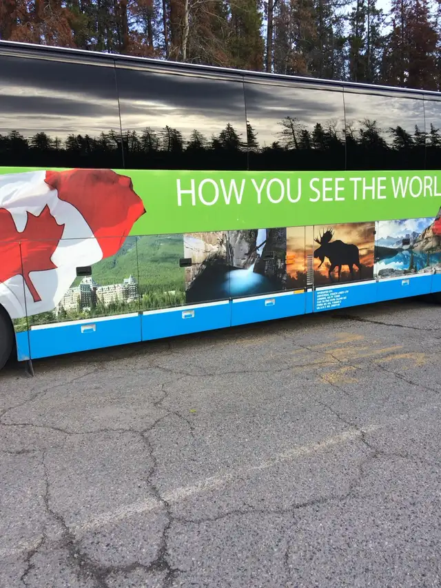 Vehicle Delivery - Photo 3