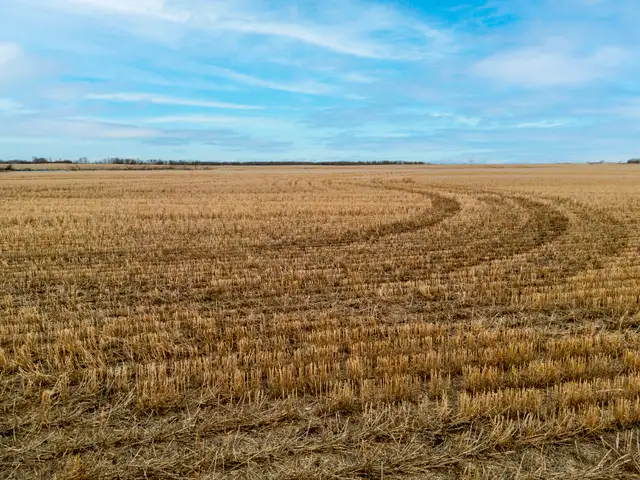 950.08 Acres | Fairlight & Redvers, SK Area - Photo 2