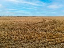 950.08 Acres | Fairlight & Redvers, SK Area - Photo 2