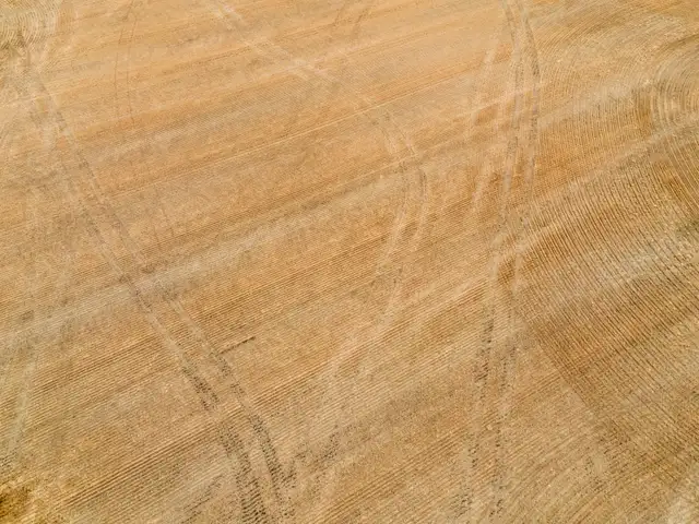 950.08 Acres | Fairlight & Redvers, SK Area - Photo 3