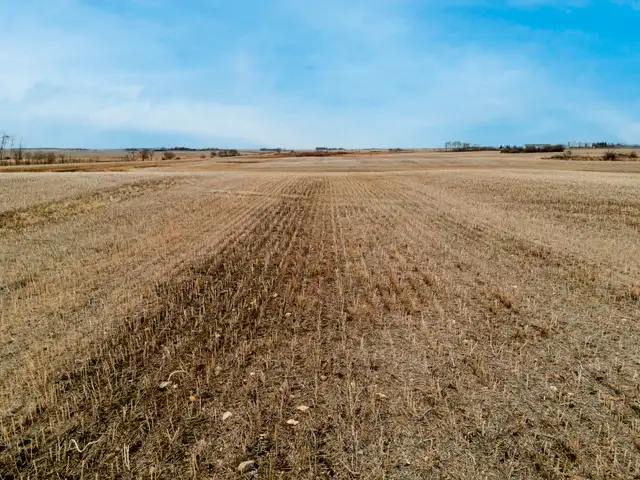 950.08 Acres | Fairlight & Redvers, SK Area - Photo 4
