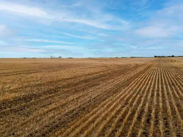 950.08 Acres | Fairlight & Redvers, SK Area - Photo 8