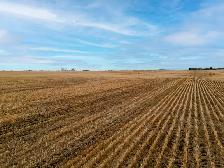 950.08 Acres | Fairlight & Redvers, SK Area - Photo 8