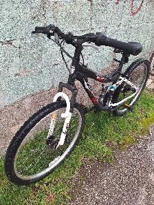 Mountain Bike for Adults