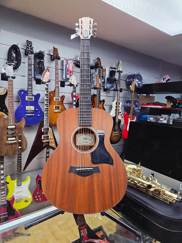 Taylor GS MINI