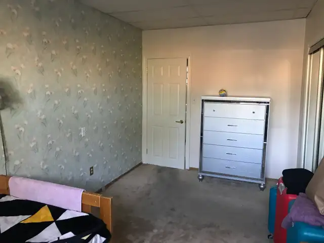 bright large room for rent - Photo 2