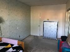 bright large room for rent - Photo 2