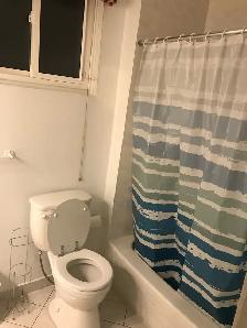 bright large room for rent - Photo 7