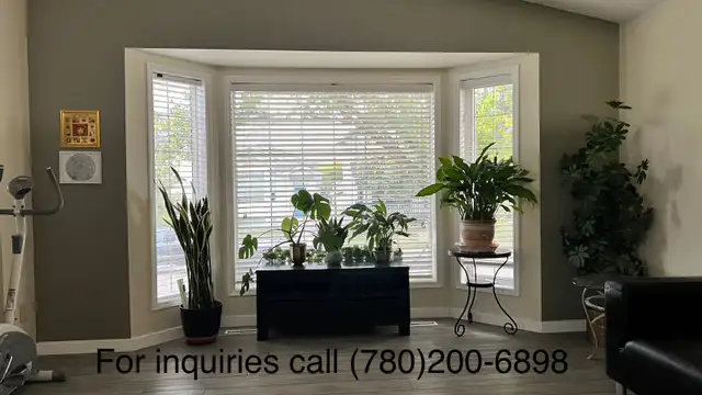 Rooms for Rent Private Rooms Close by Londonderry Mall - Photo 3