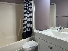 Rooms for Rent Private Rooms Close by Londonderry Mall - Photo 7