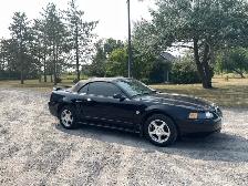 Ford Mustang for Sale