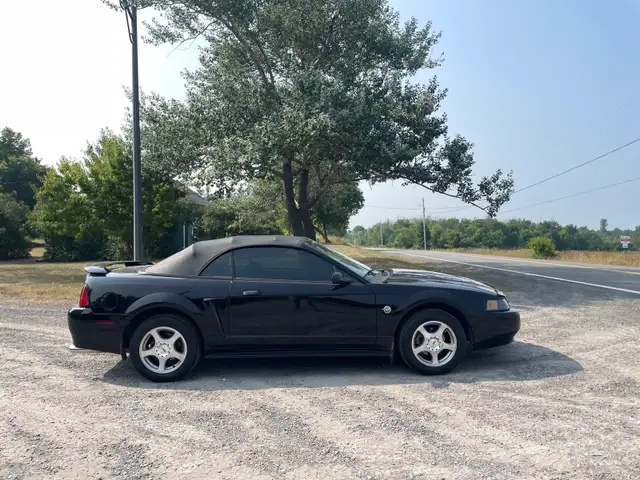 Ford Mustang for Sale - Photo 2