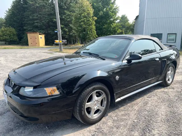 Ford Mustang for Sale - Photo 3