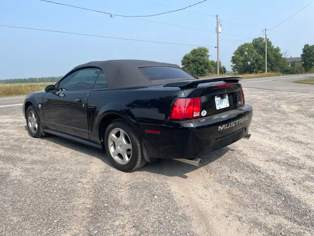 Ford Mustang for Sale - Photo 4
