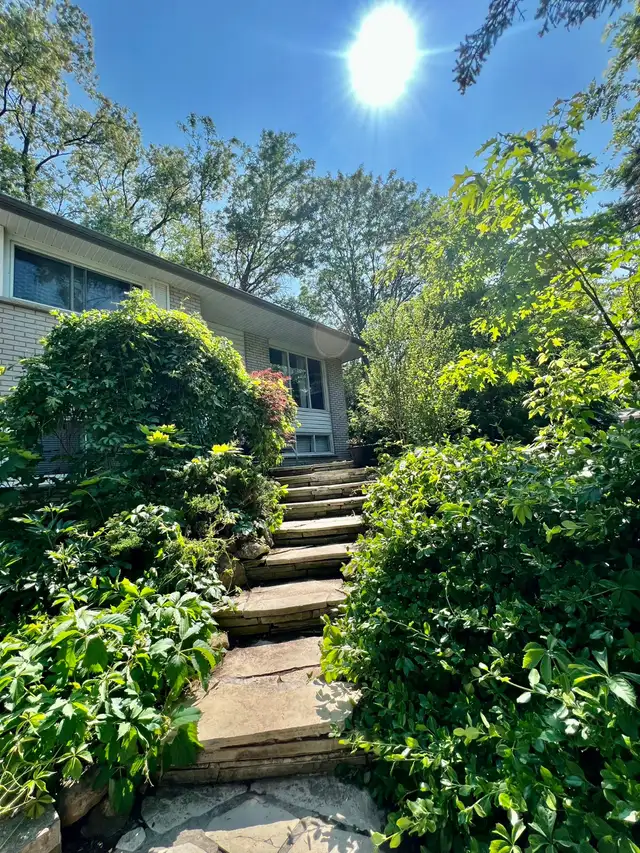 3BR Upper Unit | Quiet Tree‑Lined Area | 2 Parking | Available - Photo 3