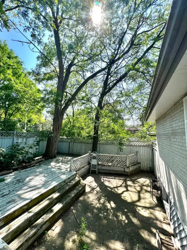 3BR Upper Unit | Quiet Tree‑Lined Area | 2 Parking | Available - Photo 22