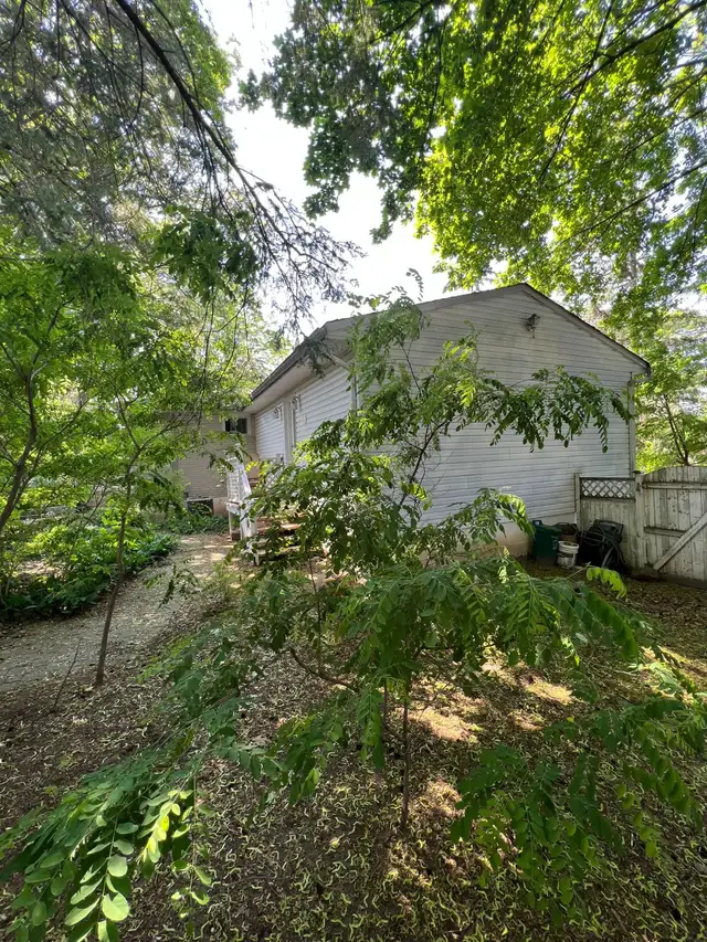 3BR Upper Unit | Quiet Tree‑Lined Area | 2 Parking | Available - Photo 24