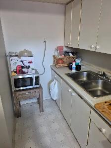Room for rent in falconeridge NE - Photo 2