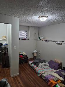 Room for rent in falconeridge NE - Photo 4