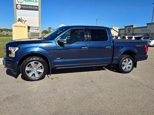 2017 F150 Platinum - Photo 2
