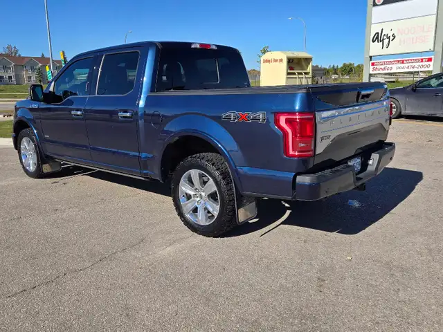 2017 F150 Platinum - Photo 3