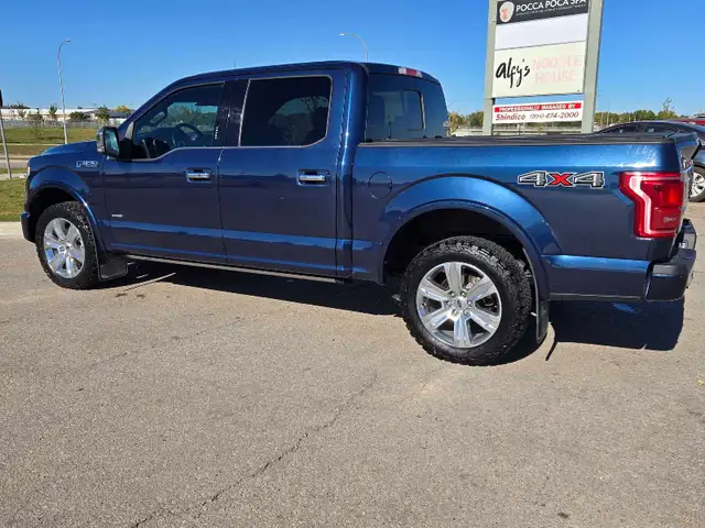 2017 F150 Platinum - Photo 4