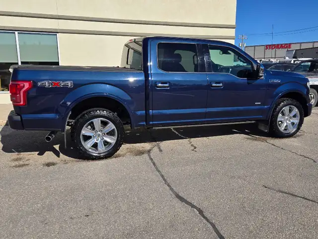 2017 F150 Platinum - Photo 5